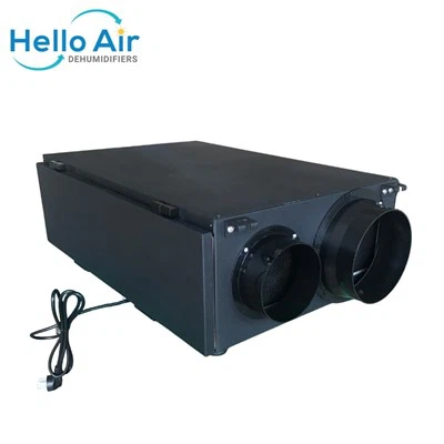 자동 제상 기능이 있는 30L 초박형 공기 청정기 HEPA 제습기